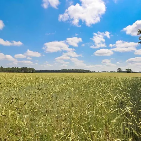 Кемпинг Landgut Voigtsmuehle