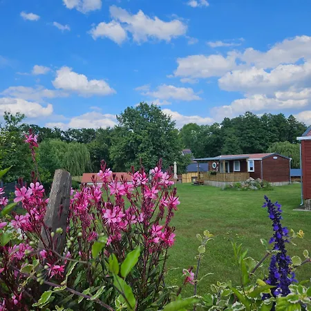 Кемпинг Landgut Voigtsmuehle Friedland (Brandenburg)