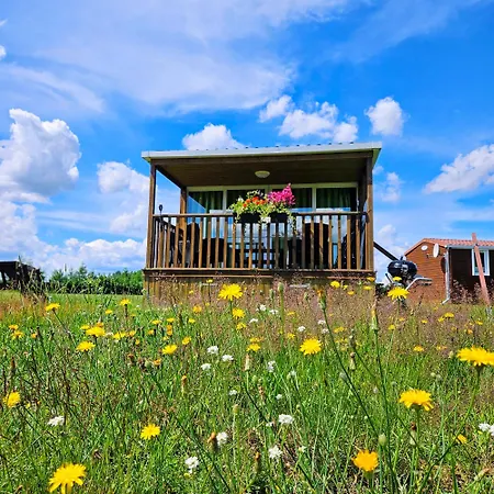 Landgut Voigtsmuehle Кемпинг Friedland (Brandenburg)