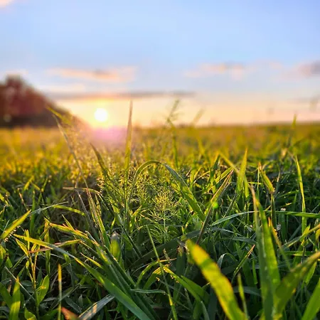 Landgut Voigtsmühle Campingplatz