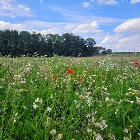 Кемпинг Landgut Voigtsmuehle