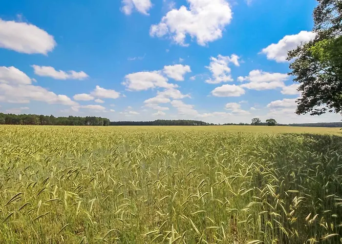 Campsite Landgut Voigtsmuehle