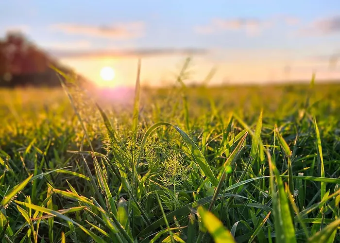 Landgut Voigtsmuehle Campsite