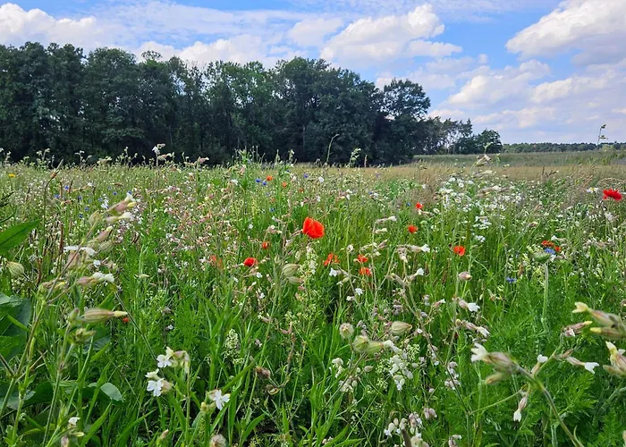 Campsite Landgut Voigtsmuehle