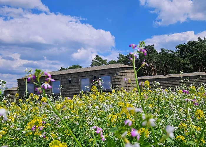 Landgut Voigtsmuehle Campsite *